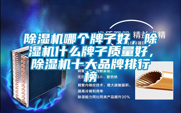 除湿机哪个牌子好，除湿机什么牌子质量好，除湿机十大品牌排行榜