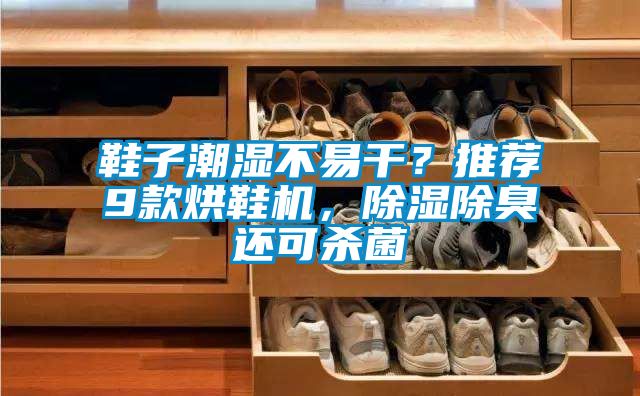 鞋子潮湿不易干？推荐9款烘鞋机，除湿除臭还可杀菌