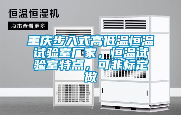 重庆步入式高低温恒温试验室厂家，恒温试验室特点，可非标定做