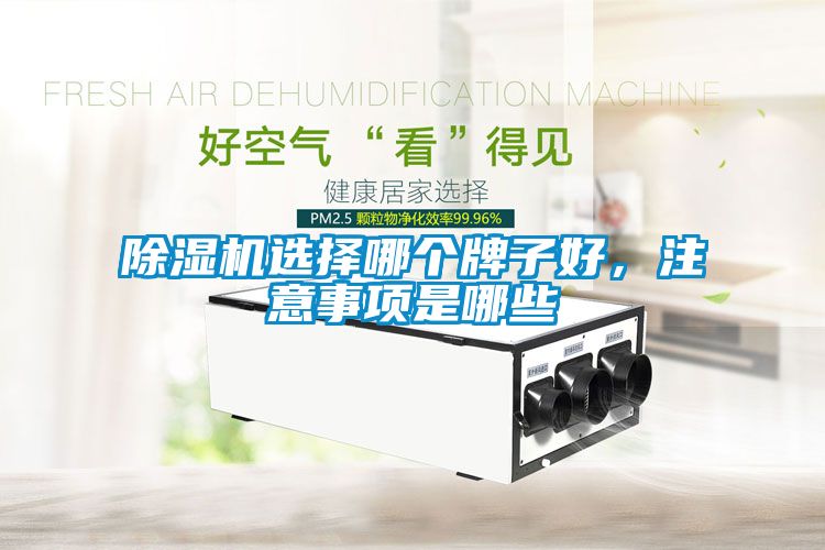 除湿机选择哪个牌子好，注意事项是哪些