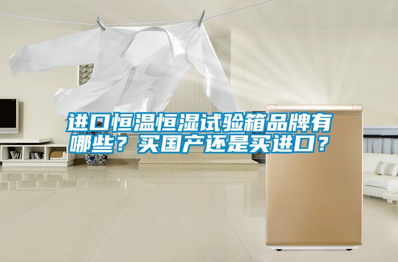 进口恒温恒湿试验箱品牌有哪些？买国产还是买进口？