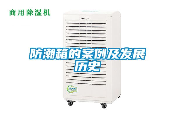 防潮箱的案例及发展历史