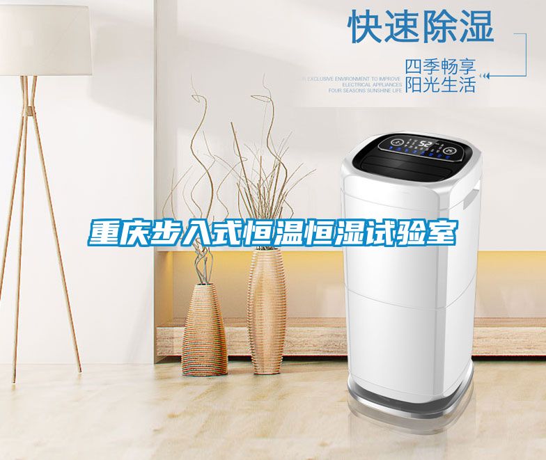 重庆步入式恒温恒湿试验室