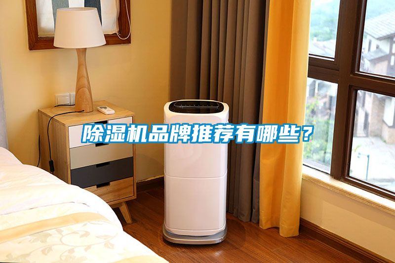 除湿机品牌推荐有哪些？