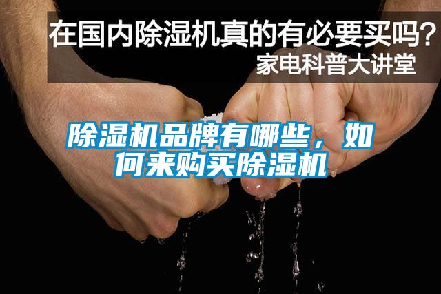 除湿机品牌有哪些，如何来购买除湿机