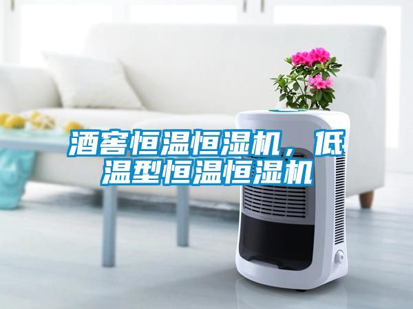 酒窖恒温恒湿机，低温型恒温恒湿机