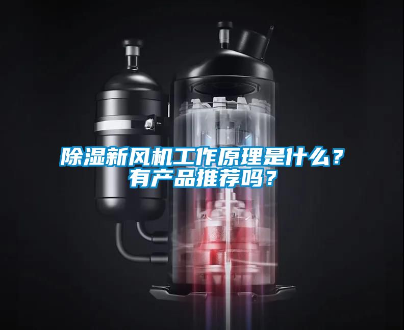 除湿新风机工作原理是什么？有产品推荐吗？