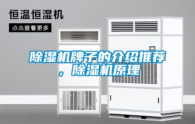 除湿机牌子的介绍推荐，除湿机原理