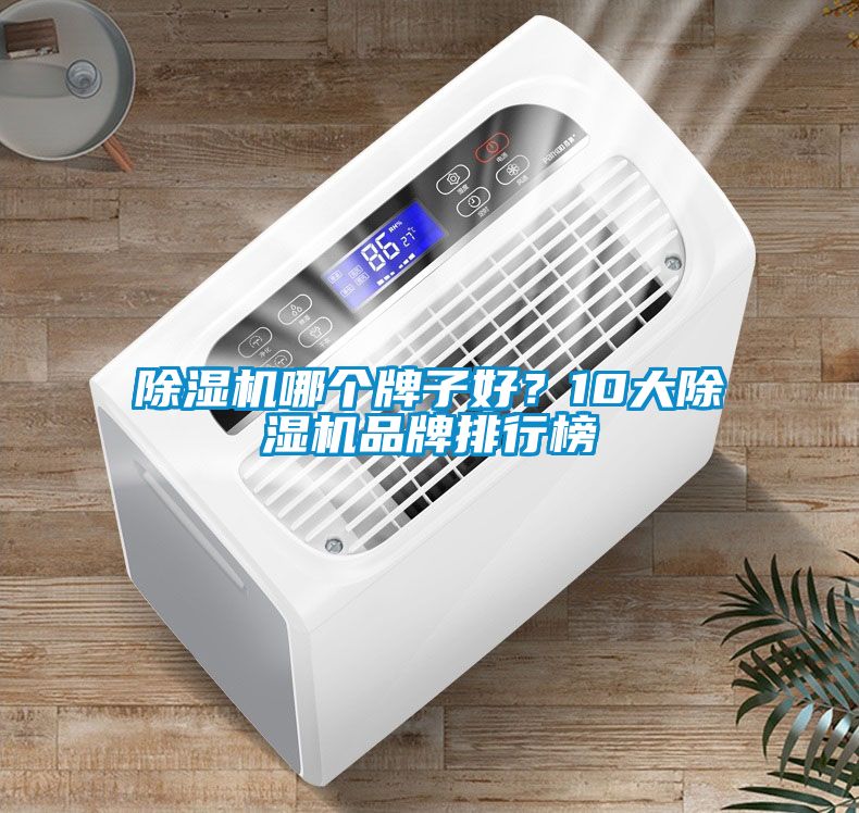 除湿机哪个牌子好？10大除湿机品牌排行榜