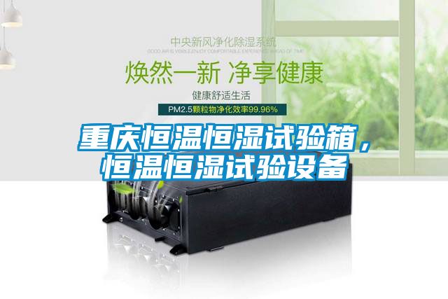 重庆恒温恒湿试验箱，恒温恒湿试验设备