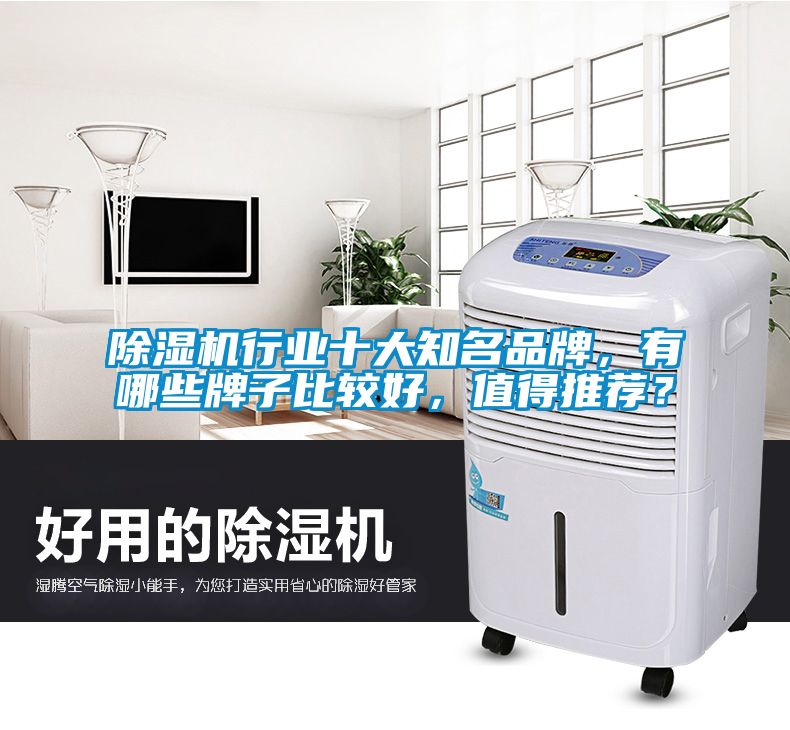除湿机行业十大知名品牌，有哪些牌子比较好，值得推荐？