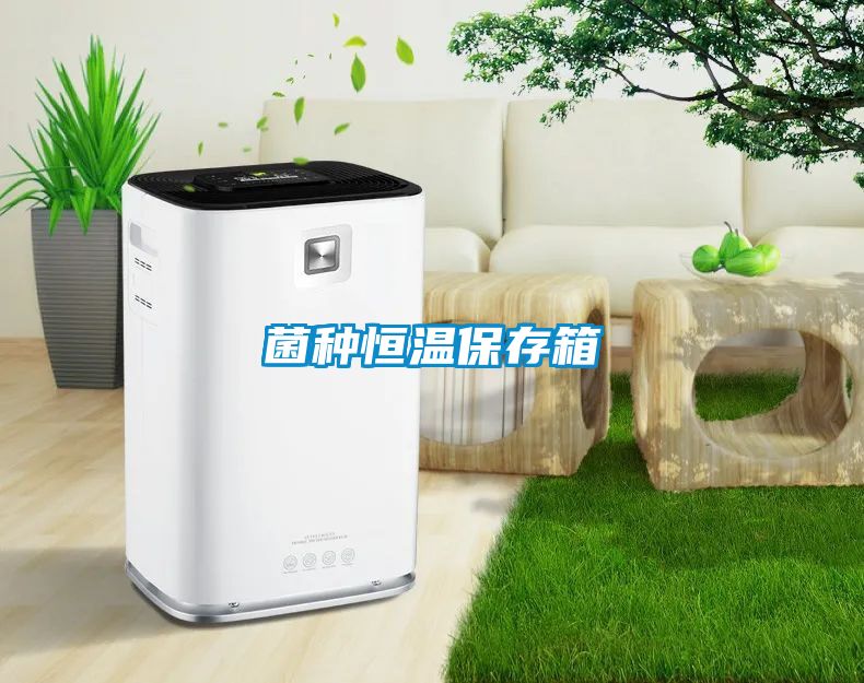菌种恒温保存箱