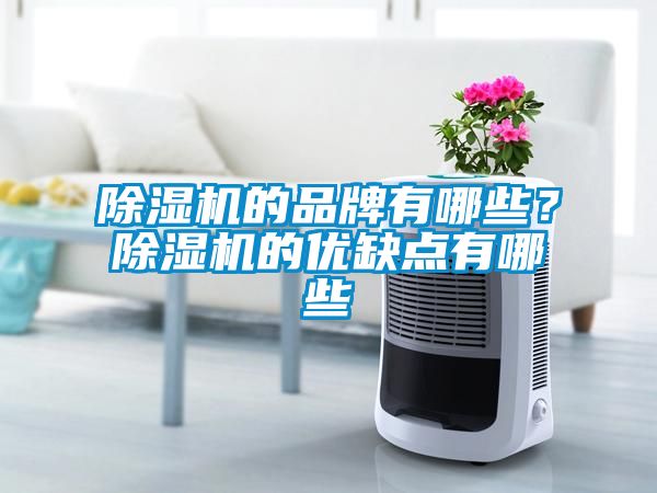 除湿机的品牌有哪些？除湿机的优缺点有哪些