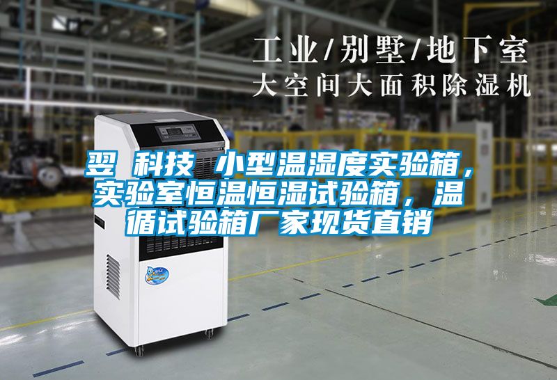 翌昇科技 小型温湿度实验箱，实验室恒温恒湿试验箱，温循试验箱厂家现货直销