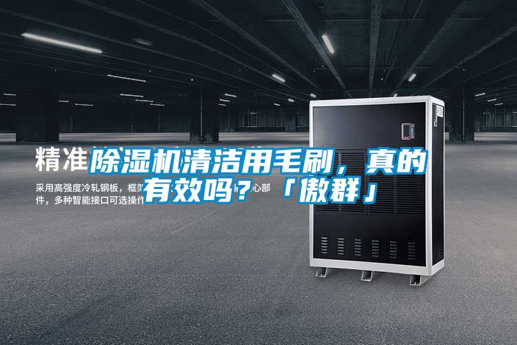 除湿机清洁用毛刷，真的有效吗？「傲群」