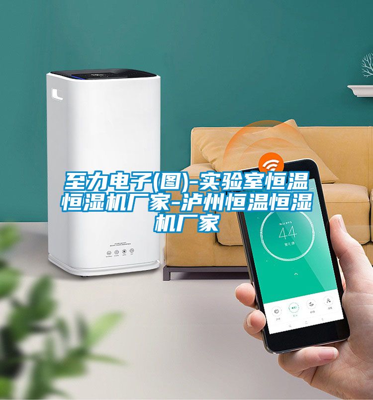 至力电子(图)-实验室恒温恒湿机厂家-泸州恒温恒湿机厂家