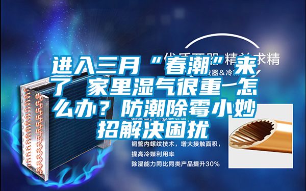 进入三月“春潮”来了 家里湿气很重 怎么办？防潮除霉小妙招解决困扰