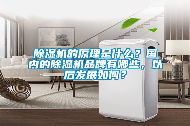 除湿机的原理是什么？国内的除湿机品牌有哪些，以后发展如何？