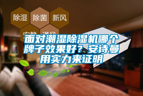 面对潮湿除湿机哪个牌子效果好？安诗曼用实力来证明