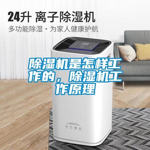 除湿机是怎样工作的，除湿机工作原理