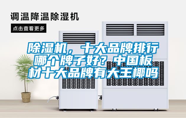 除湿机，十大品牌排行哪个牌子好？中国板材十大品牌有大王椰吗