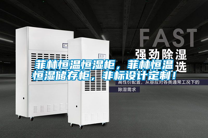 菲林恒温恒湿柜，菲林恒温恒湿储存柜，非标设计定制！