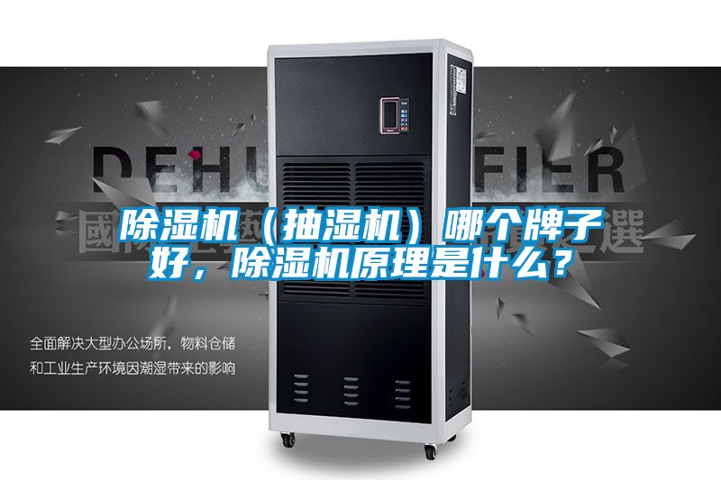 除湿机（抽湿机）哪个牌子好，除湿机原理是什么？
