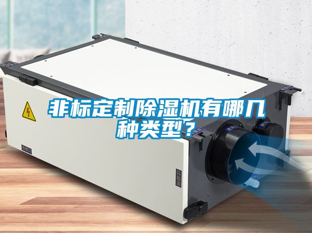 非标定制除湿机有哪几种类型？