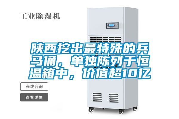 陕西挖出最特殊的兵马俑，单独陈列于恒温箱中，价值超10亿