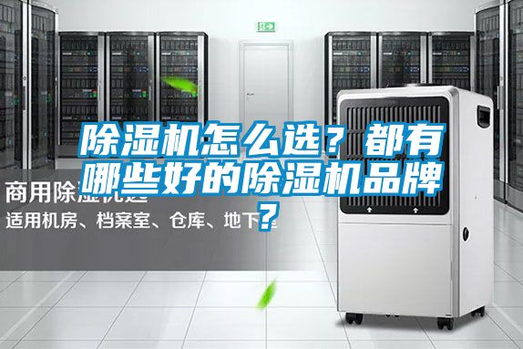 除湿机怎么?。慷加心男┖玫某放?？
