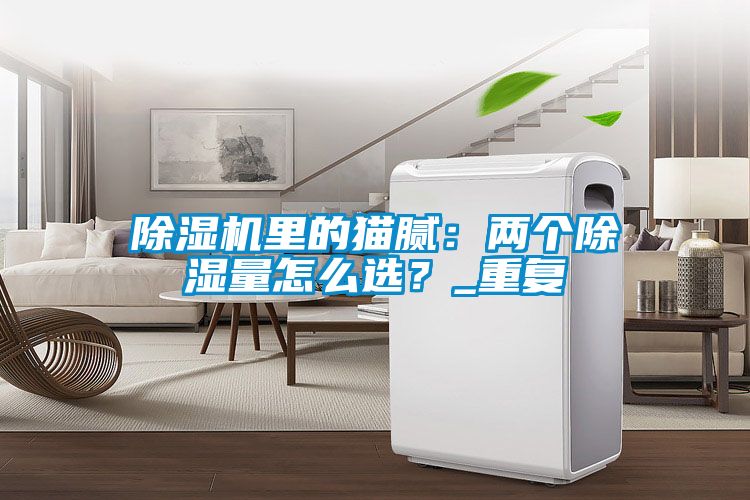 除湿机里的猫腻：两个除湿量怎么选？_重复