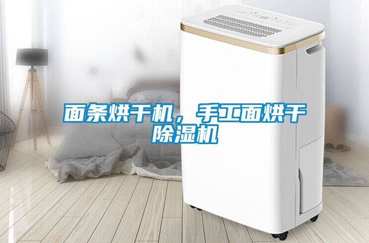 面条烘干机，手工面烘干除湿机