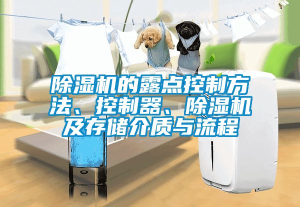 除湿机的露点控制方法、控制器、除湿机及存储介质与流程