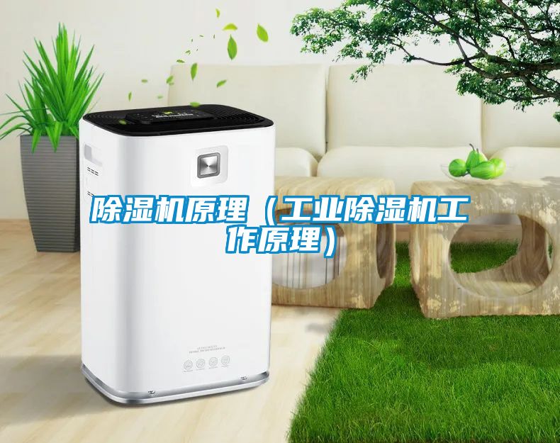 除湿机原理（工业除湿机工作原理）