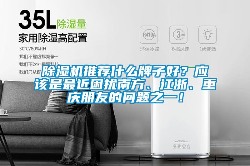 除湿机推荐什么牌子好？应该是最近困扰南方、江浙、重庆朋友的问题之一！