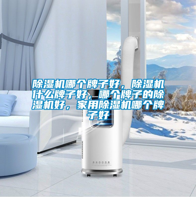 除湿机哪个牌子好，除湿机什么牌子好，哪个牌子的除湿机好，家用除湿机哪个牌子好