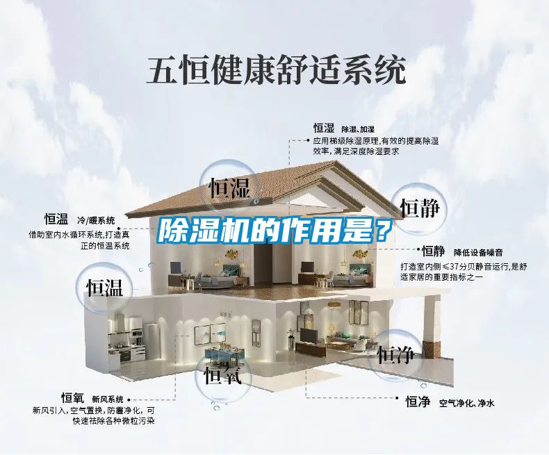 除湿机的作用是？