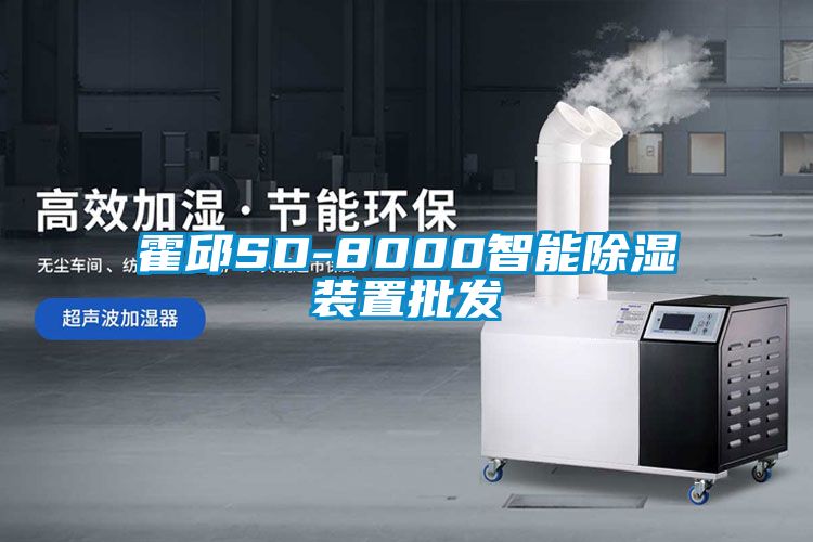 霍邱SD-8000智能除湿装置批发