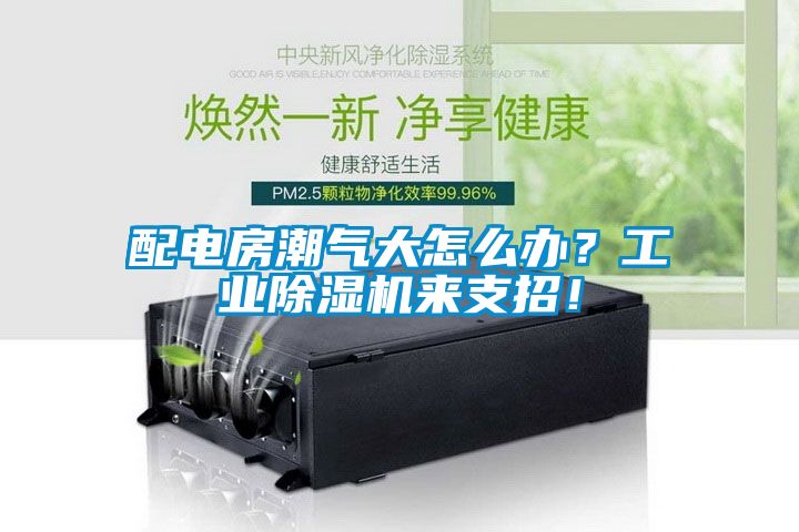 配电房潮气大怎么办？工业除湿机来支招！