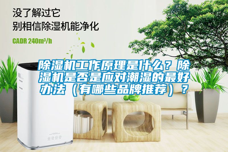 除湿机工作原理是什么？除湿机是否是应对潮湿的最好办法（有哪些品牌推荐）？