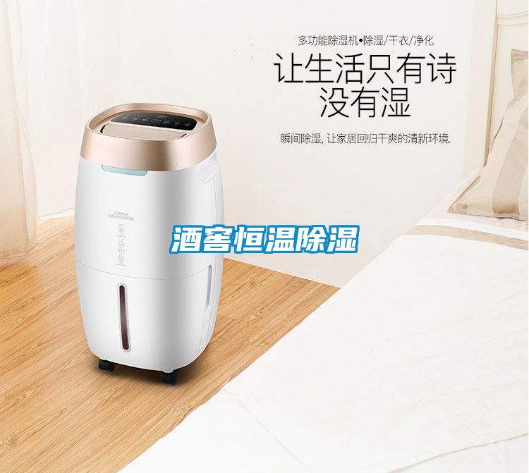 酒窖恒温除湿