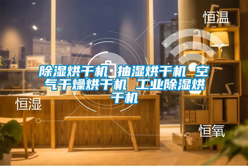 除湿烘干机 抽湿烘干机 空气干燥烘干机 工业除湿烘干机