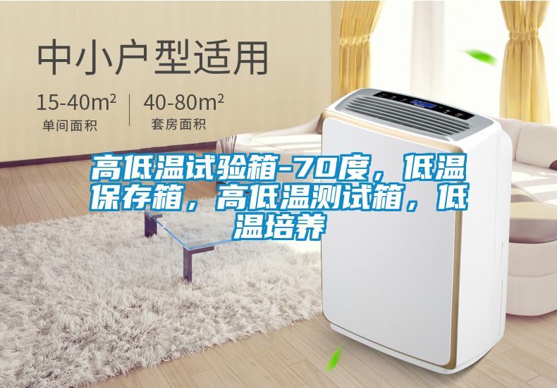 高低温试验箱-70度，低温保存箱，高低温测试箱，低温培养