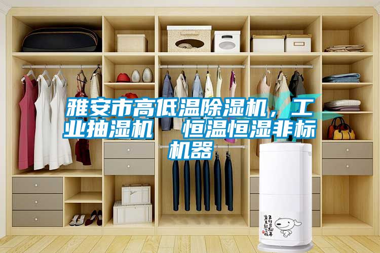 雅安市高低温除湿机，工业抽湿机  恒温恒湿非标机器