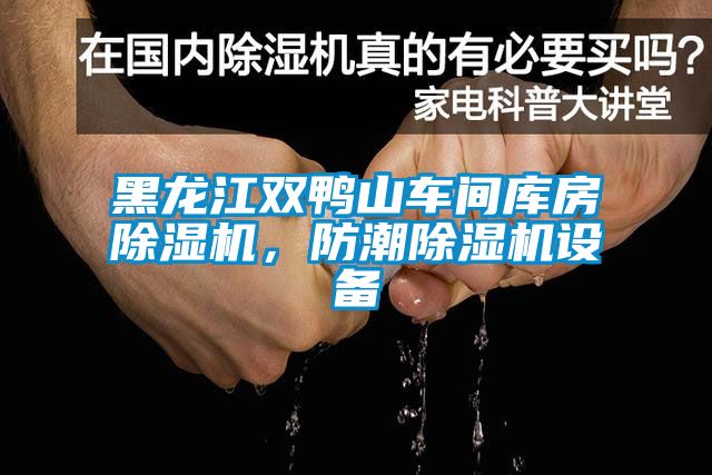 黑龙江双鸭山车间库房除湿机，防潮除湿机设备