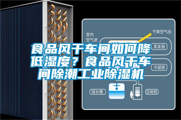 食品风干车间如何降低湿度？食品风干车间除潮工业除湿机