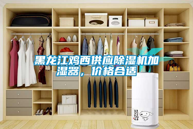 黑龙江鸡西供应除湿机加湿器，价格合适