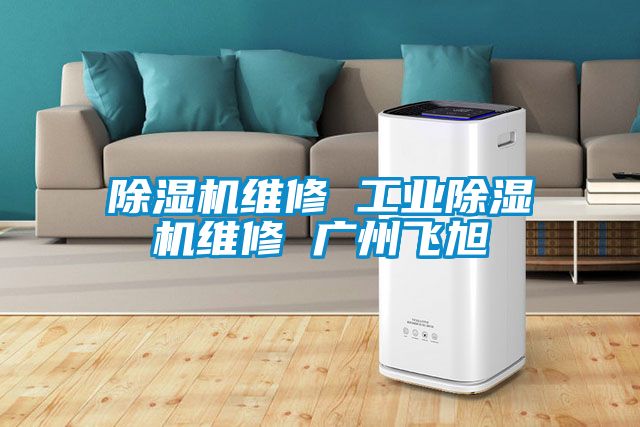 除湿机维修 工业除湿机维修 广州飞旭