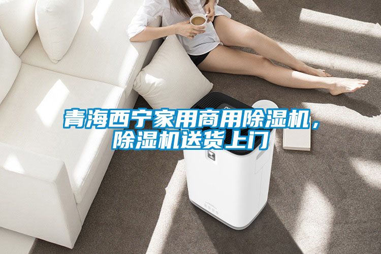 青海西宁家用商用除湿机，除湿机送货上门