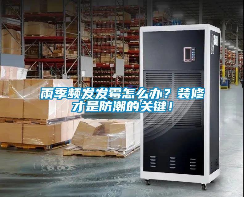雨季频发发霉怎么办？装修才是防潮的关键！